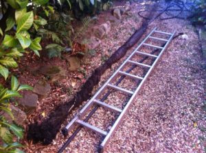 ΜΕΓΑΛΗ ΡΙΖΑ ΑΠΟ ΑΠΟΦΡΑΞΗ ΔΙΠΛΑ ΣΕ ΣΚΑΛΑ ΣΤΗΝ ΚΑΛΛΙΤΕΧΝΟΥΠΟΛΗ